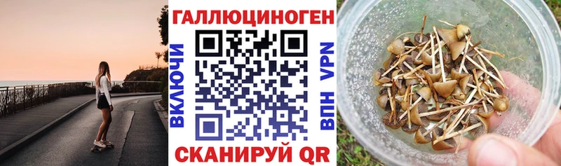 сайты даркнета состав где найти Ладушкин Псилоцибиновые грибы мицелий